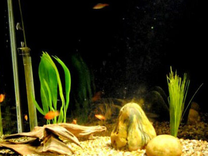 Water and How It Moves. Courtesy of Montshire Museum of Science