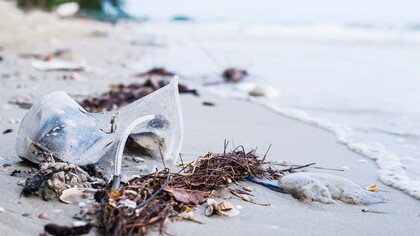 Ogni anno, milioni di tonnellate di plastica invadono i nostri oceani, danneggiando fauna e flora marine
