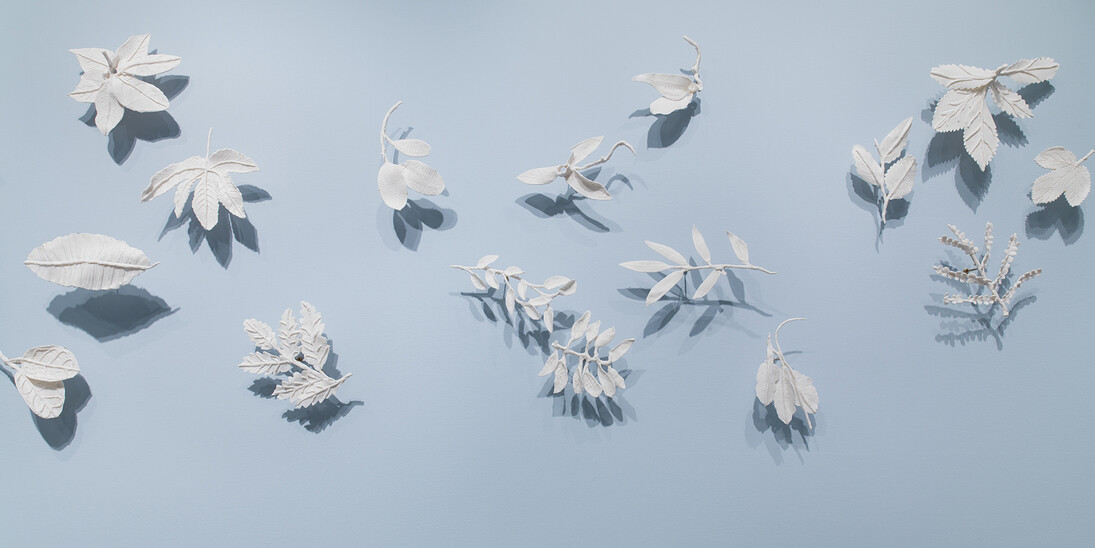 Lineage through Landscape. Courtesy of Fowler Museum 