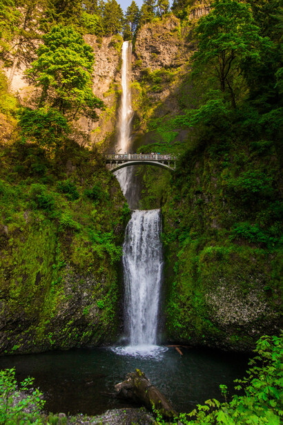 Una cascada cae detrás de la vegetación