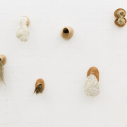 Solange Pessoa, Metaflor-Metaflora (detail), 2005-2012. Courtesy of Centro Botín