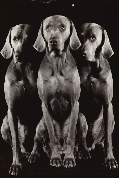 Trio of one (detail), 2000. Courtesy of Marc Selwyn Fine Art