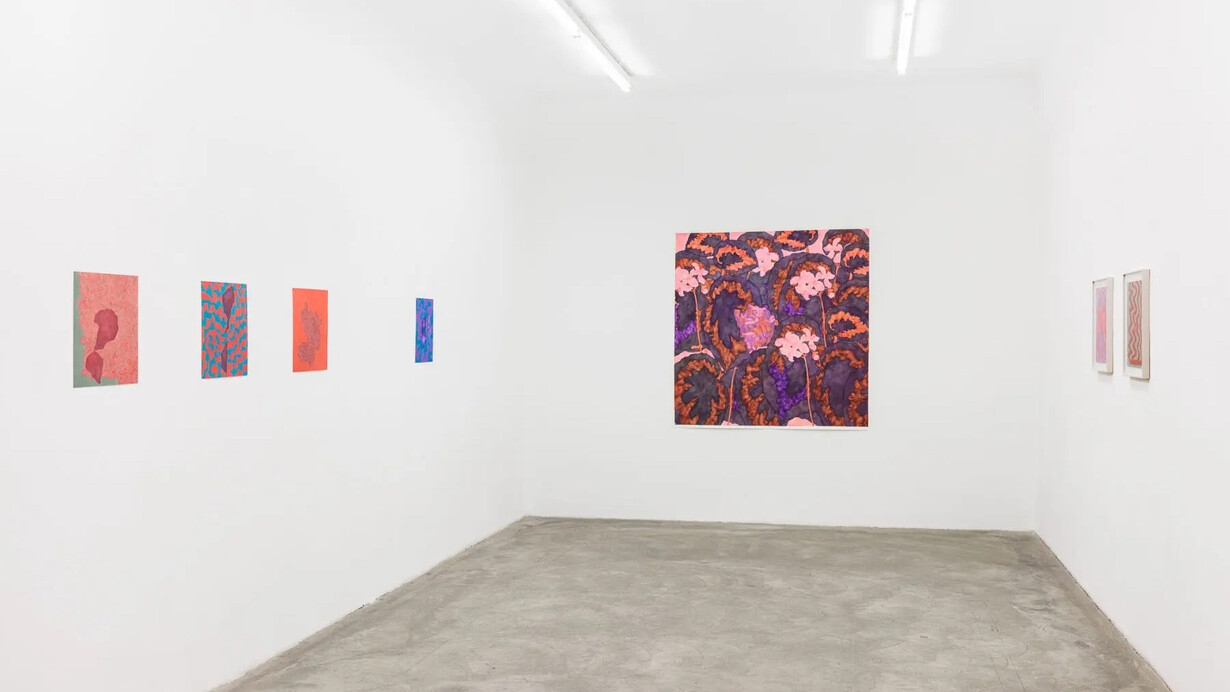 Adriana Czernin, American flowers, exhibition view. Courtesy of Galerie Martin Janda 