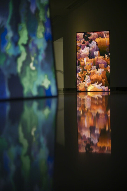 Daniel Canogar. Courtesy of Mark Moore Gallery