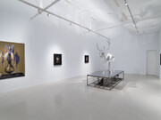 Mat Collishaw, Vivisystem, exhibition view. Courtesy of Hilario Galguera Gallery
