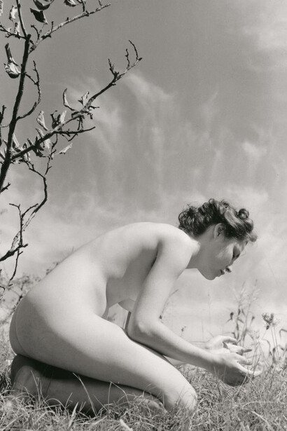 Fulvio Roiter - Senza Titolo Nudo n.5 Archivio - Storico Circolo Fotografico La Gondola, Venezia