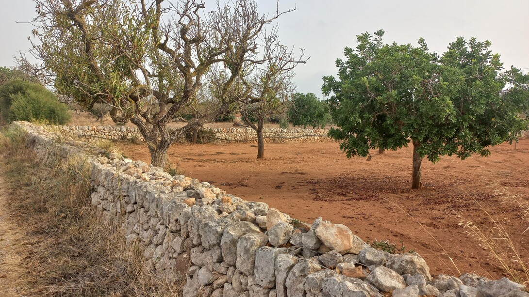 Muretti di pietra patrimonio dell'UNESCO, Mallorca, Spagna