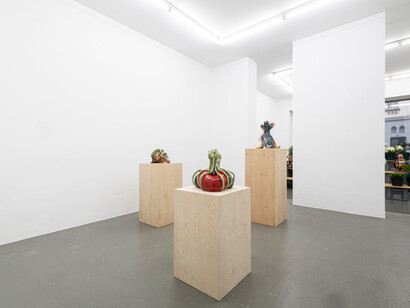 Dominika Bednarsky, Clay pigeons, exhibition view. Courtesy of Gaa Gallery