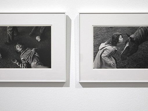 Marc Pataut. Courtesy of Museo Nacional Centro de Arte Reina Sofía