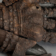 Medieval Massacre. Courtesy of Historiska museet