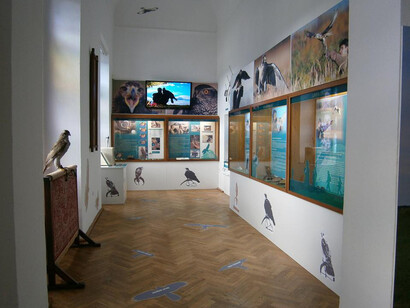 Falconry. Courtesy of National Museum of Agriculture