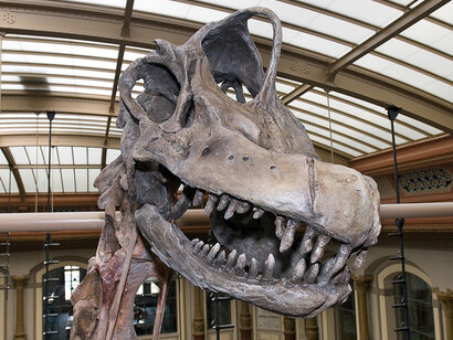The World of Dinosaurs. Courtesy of Museum für Naturkunde
