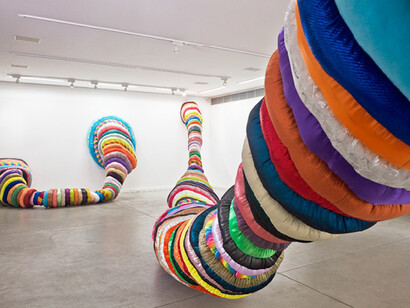 Maria Lynch Disjuncao Espacial Installation view