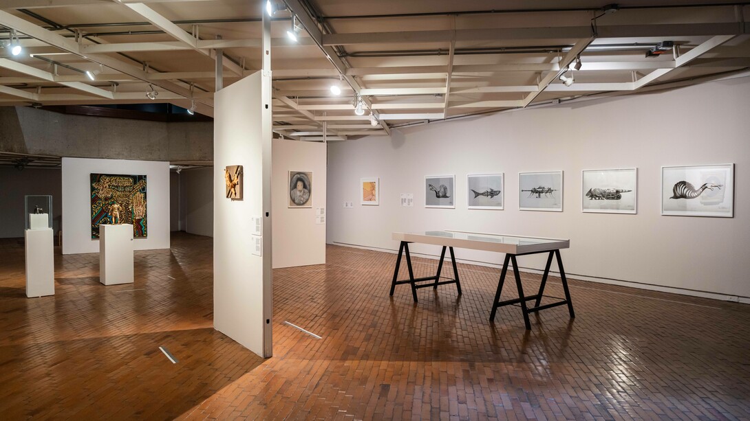 Various artists, The house of Asterion, exhibition view. Courtesy of MAMBO