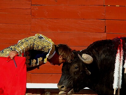 Matador y toro chocan sus cabezas