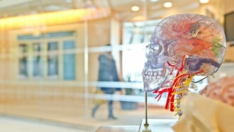 Los misterios del cerebro humano