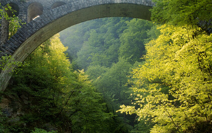 La degeometría aprende del bosque. Y el bosque no tiene autor. Puente en la garganta de Vintgar. Desfiladero de Vintgar, también conocido como desfiladero de Bled, de 1,6 kilómetros de longitud situado en los municipios de Gorje y Bled al noroeste de Eslovenia
