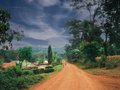 Tanzanie. Lorsque nous sommes retournés dans les villages de montagne, nous avons vu comment le café était cultivé 
