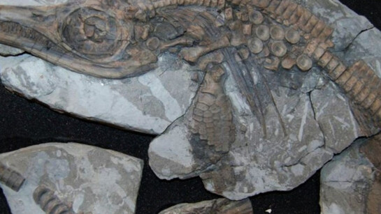 Geology. Courtesy of RAMM