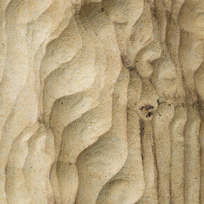 Anya Gallaccio. Courtesy of The Contemporary Austin 