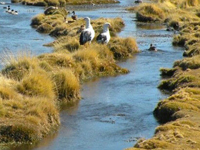 Río Silala
