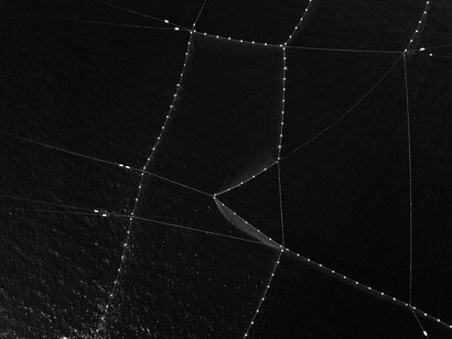 Francesco Zizola, Mare Omnis, Roma, Galleria del Cembalo