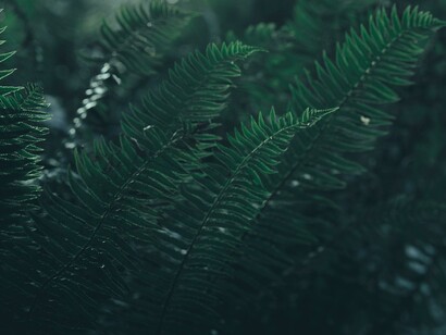 Verde que te quiero verde
