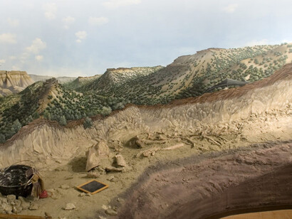 The dinosaurs rooms and courtyard. Courtesy of Museo di Storia Naturale