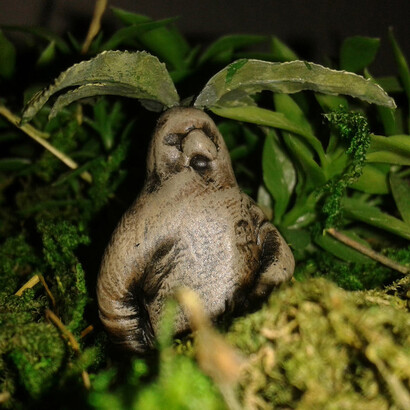 Mandragora by Mavrosh