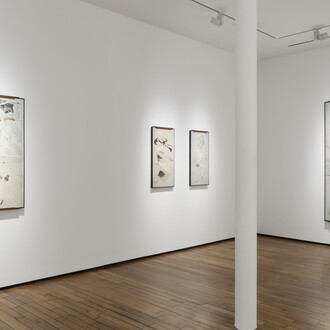 Jitish Kallat, Point of incidence, vue de l'exposition. Avec l'aimable autorisation de Templon