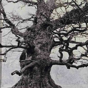 Tacita Dean. Courtesy of Royal Academy of Arts