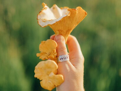 Cogumelo colhido na natureza. Convém sempre ir com alguém mais prendado ou com conhecimento sobre esta prática e também sobre o cuidado ambiental em preservar as espécies embora que seja e é importante colher os cogumelos de forma sustentável, respeitando o ecossistema, para garantir a sua regeneração
