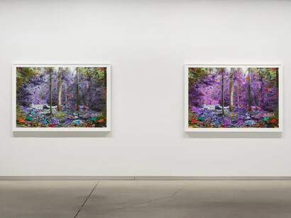 Sarah Anne Johnson, A mountain and a forest, vue de l'exposition. Avec l'aimable autorisation de la Blouin Division 