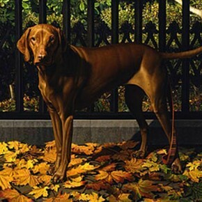 Stone Roberts, Lulu, near Harmony on Main: Stonington 2007, 2007-08, Oil on linen, 36 x 41 in.