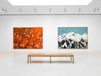 Harold Ancart, Maison Ancart, vue de l'exposition. Avec l'aimable autorisation de Gagosian