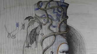 Octavia Monaco, Selenografia, Luna calante, dettaglio