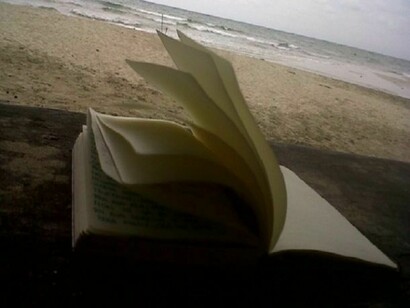 A book open by the wind