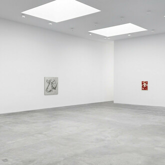 Paul Sistema, exhibition view. Courtesy of Matthew Marks Gallery