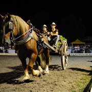 Fiera del Soco: L’isola Del Gusto