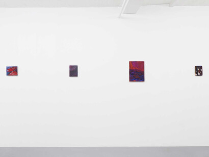 Augusta Lardy Micheli, Walk with me, exhibition view. Courtesy of Galerie Lange + Pult