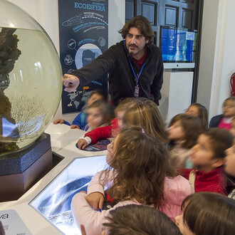 La mar de cetáceos en Andalucía. Courtesy of Casa de la Ciencia