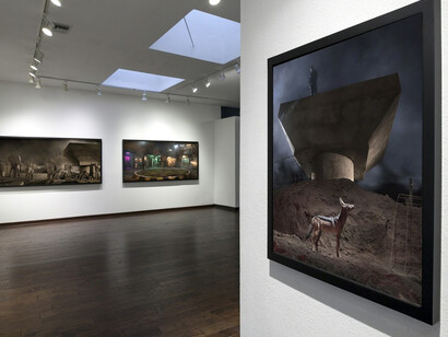 Nick Brandt. This Empty World. Courtesy of Fahey/Klein Gallery