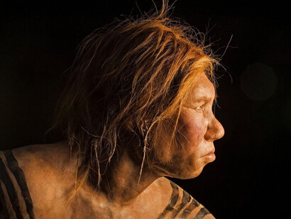 Reconstrucción de la posible apariencia de los Neanderthales