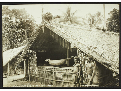 Gamal at Ahia - Ulawa - Solomons, John Watt Beattie (1859 – 1930), Mélanésie © musée du quai Branly