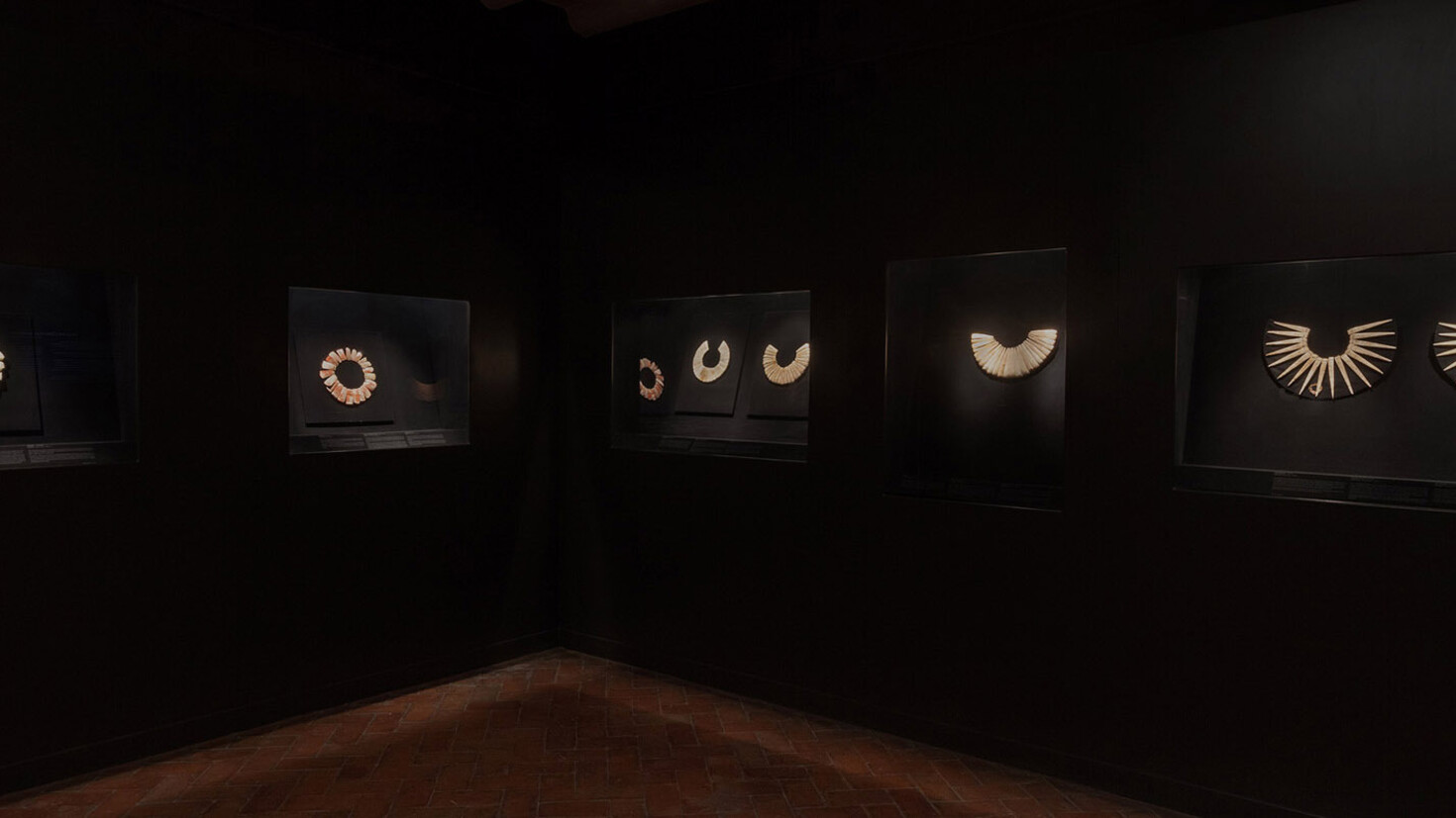 Shell Gallery | Meer