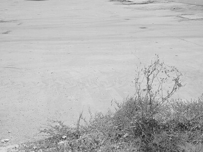 András Nagy. Courtesy of Robert Capa Contemporary Photography Center