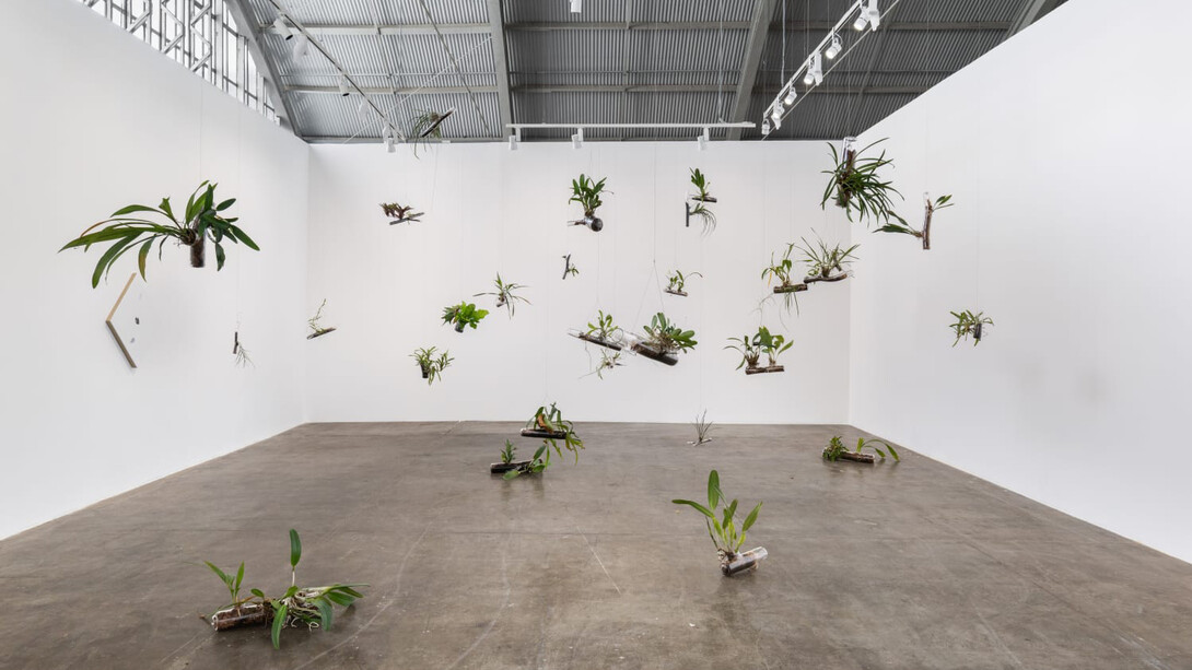 Daniel Steegmann Mangrané, Uma folha translúcida no lugar dos olhos, exhibition view. Courtesy of Mendes Wood DM 