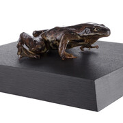 Reptiles. Courtesy of Tadas Ivanauskas Zoological Museum