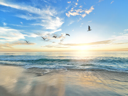 Paisaje marino con aves