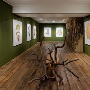 Edi Dubien, S'éclairer sans fin, vue d'exposition. Avec l'aimable autorisation du Musée de la Chasse et de la Nature